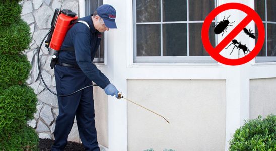 Tire Hamam Böceği İlaçlama böcek ilaçlama ve haşere kontrolü — ilaclama-tr.com